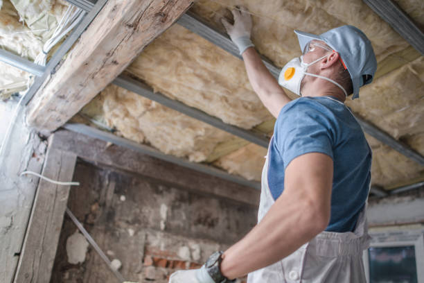 Best Cellulose Insulation in Macon, IL