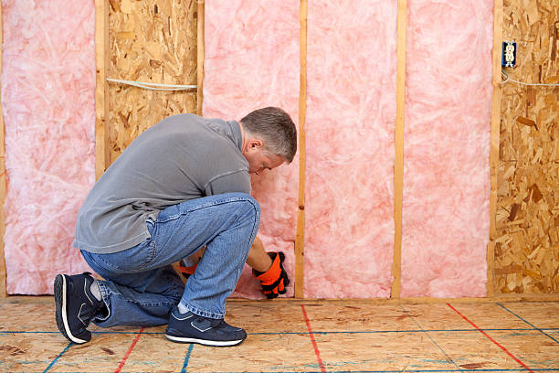 Best Eco-Friendly Insulation in Macon, IL