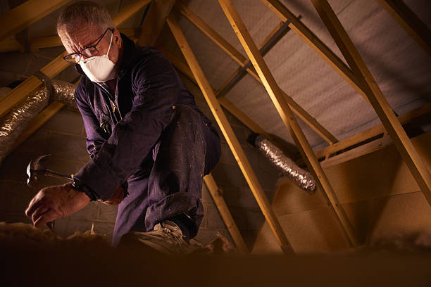 Best Cellulose Insulation in Macon, IL